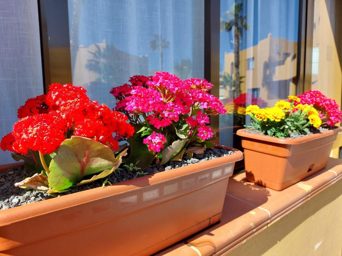 Casa Ledù - Sunny Holiday in Fuerteventura Corralejo Esterno foto